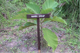 植林活動をした後には…NANBUグループのネームプレートも付けてみました